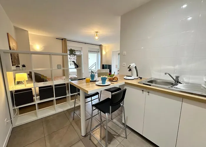 M 104 Palm Nest Cosy Et Calme Proche Metz